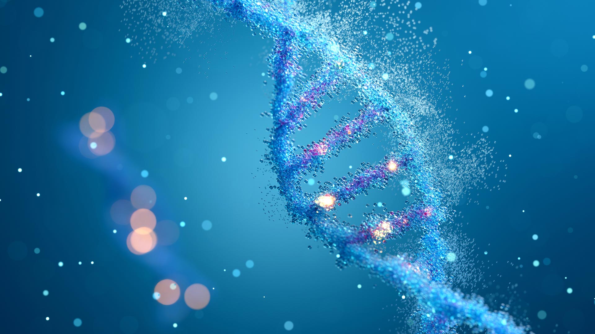 Longevity für Frauen: DNA