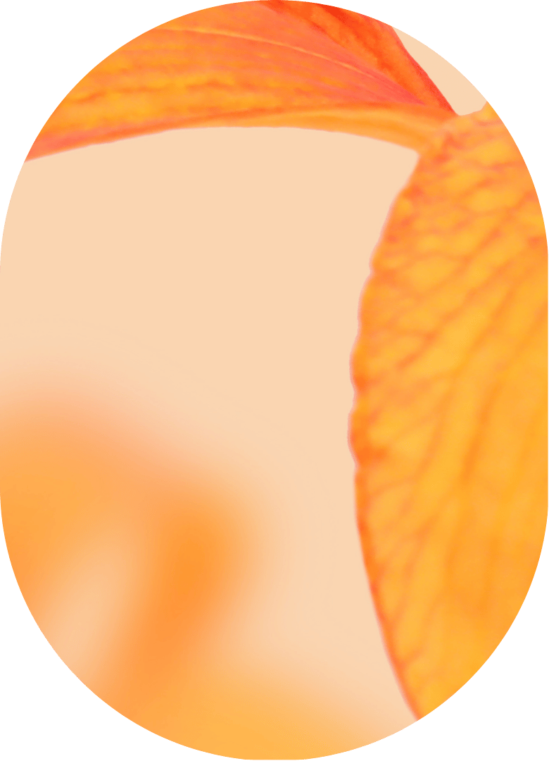 1:1 Online Hypnose Longevity Gewicht reduzieren: Blume