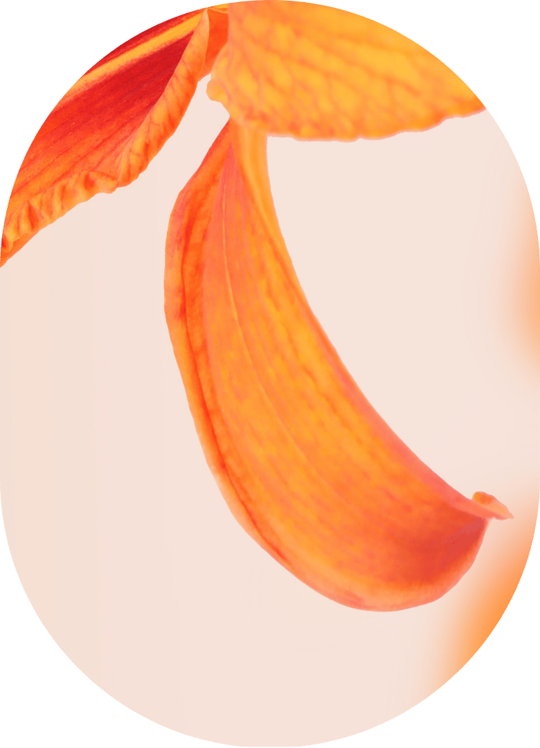 1:1 Online Hypnose Longevity Stress reduzieren: Blume